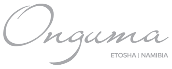 Merchant Logo